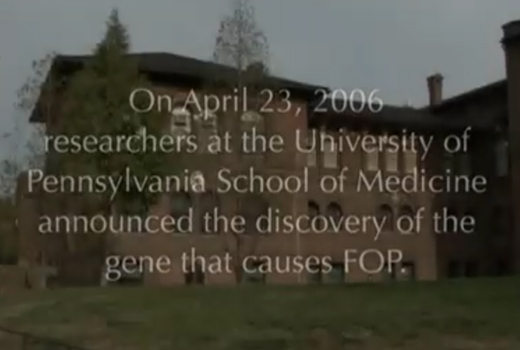 IFOPAs Infovideo om FOP (17min) 2009